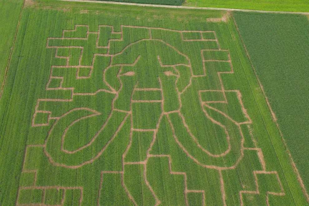 Mammoth-shaped corn maze in the Kranj area. Photo: Corn Maze Kranj