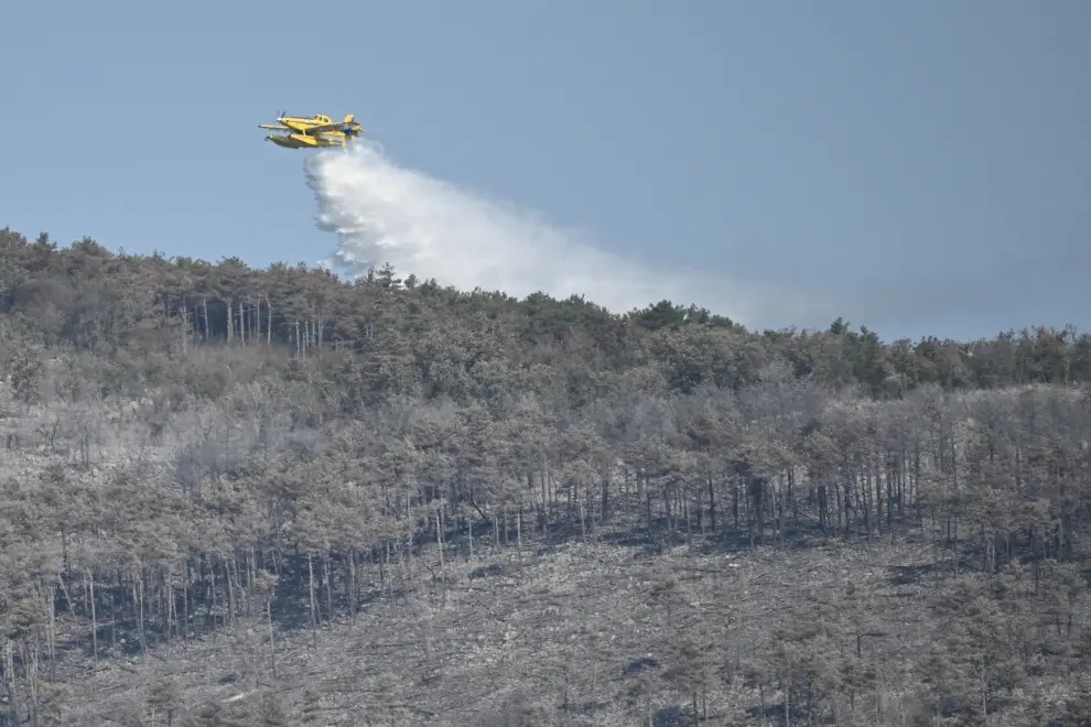 An air tractor aircraft dumps water on the remnants of a large fire on Mount Trstelj in west Slovenia. Photo: Jure Makovec/STA