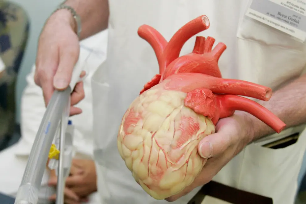 A surgeon holds a heart model. Photo: Daniel Novakovic/STA