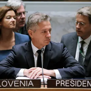 Slovenia in the UN Security Council