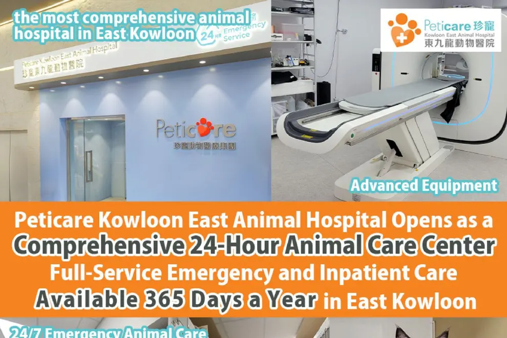 Peticare Kowloon East Animal Hospital Opens as a Comprehensive 24-Hour Animal Care Center