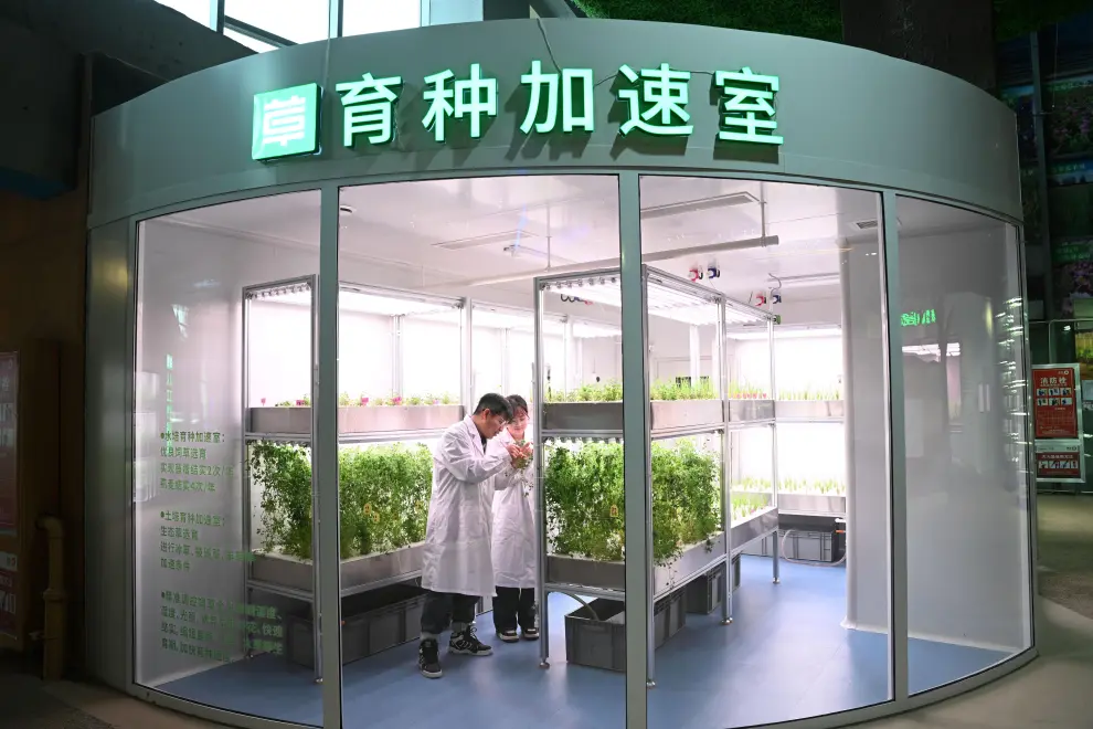 This photo taken on Nov. 4, 2024 shows a chamber for accelerated seed breeding at M-Grass Ecological Environment (Group) Co., Ltd. in Hohhot, north China's Inner Mongolia Autonomous Region.