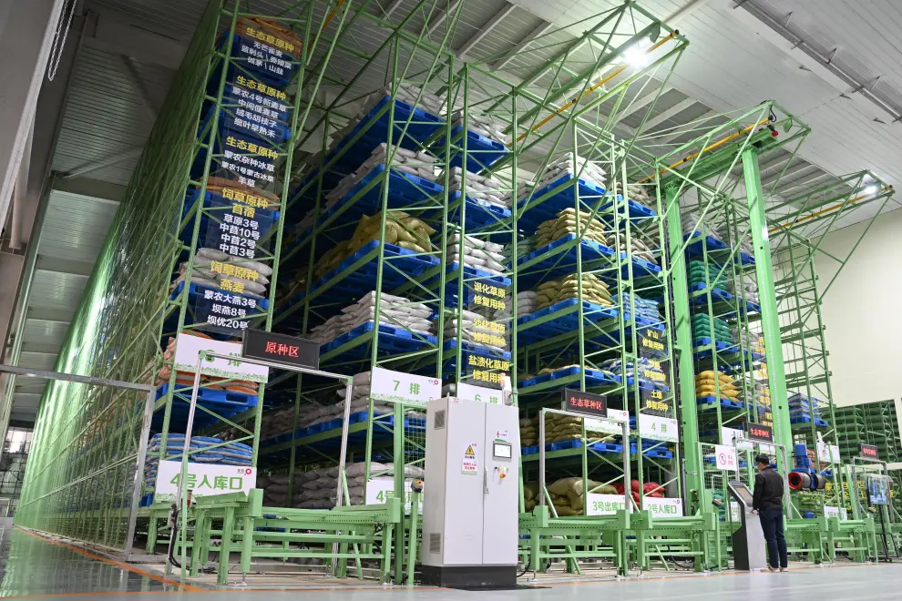 This photo taken on Nov. 4, 2024 shows the smart warehouse at M-Grass Ecological Environment (Group) Co., Ltd. in Hohhot, north China's Inner Mongolia Autonomous Region.