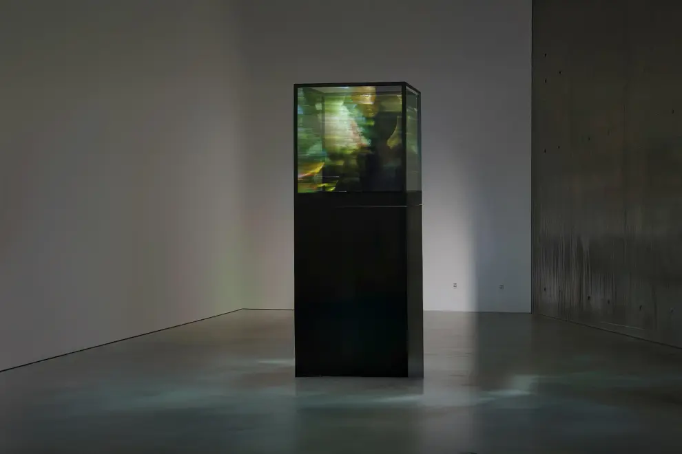 Maja Petric, 'Specimens of Time: Hoh Rain Forest', 2024, Optical filters, reflective materials, projectors, computer, metal hardware, 81.3 x 106.5 x 81. (Courtesy of the Artist & HOFA)