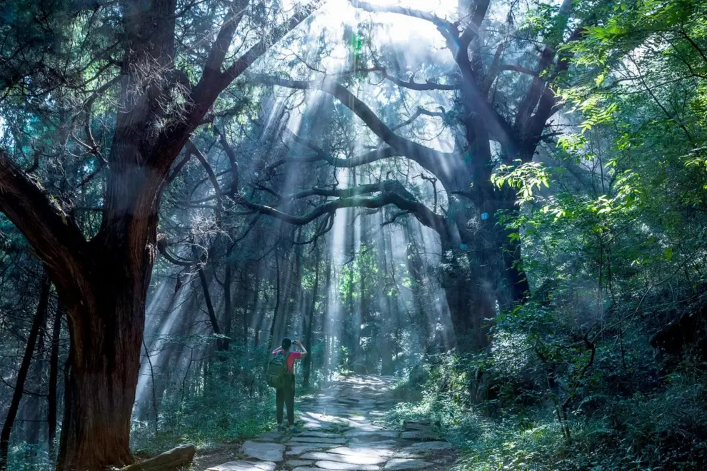 Cuiyun Corridor on the ancient Shu Road. Photo by Meng Libo