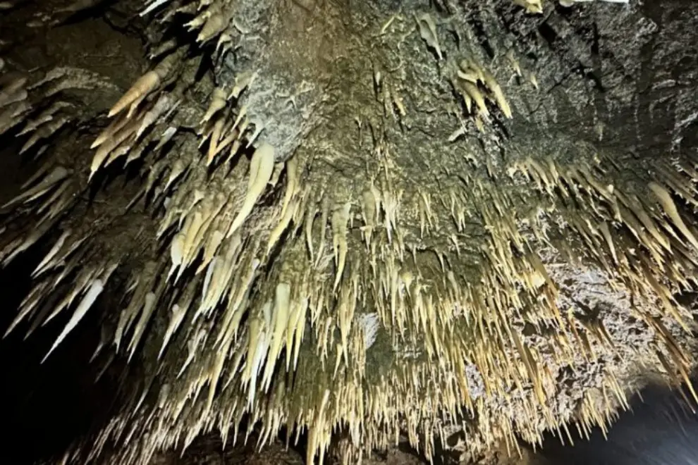 Limestone formations in one of the karst caves discovered during the construction of the Koper-Divača rail track. Photo: ZRC SAZU Karst Research Institute/2TDK