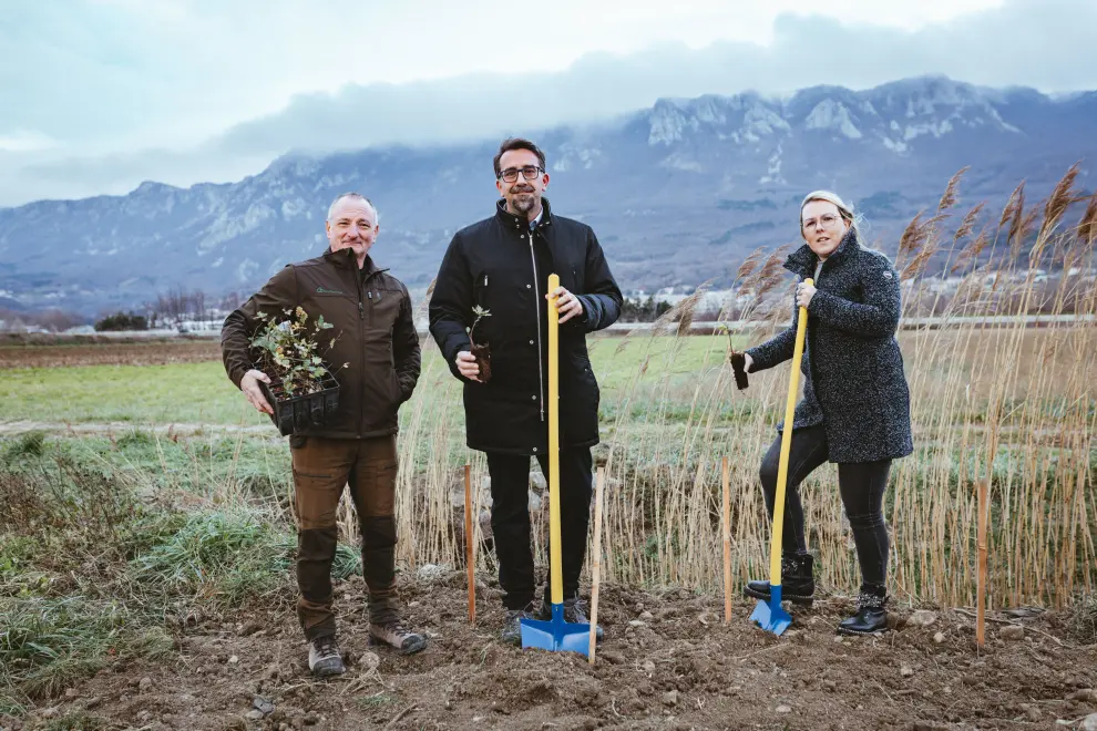 Ajdovščina Mayor Tadej Beočanin (centre) planting the first trees along with Agriculture Minister Mateja Čalušić. Photo courtesy of Ajdovščina municipality.