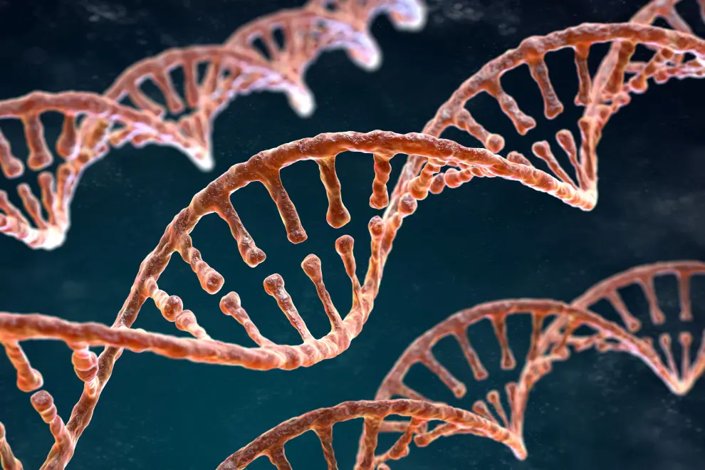 Spiral strands of DNA. Photo: Envato elements